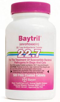 Baytril 22.7 mg PER CHEWABLE