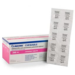 Clavamox Chewable 250mg PER CHEWABLE