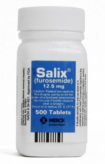 Salix (Furosemide) 12.5 mg PER TABLET