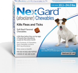 NexGard 10-24 lbs 6 Month