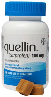 Quellin 100mg 120 Soft Chews